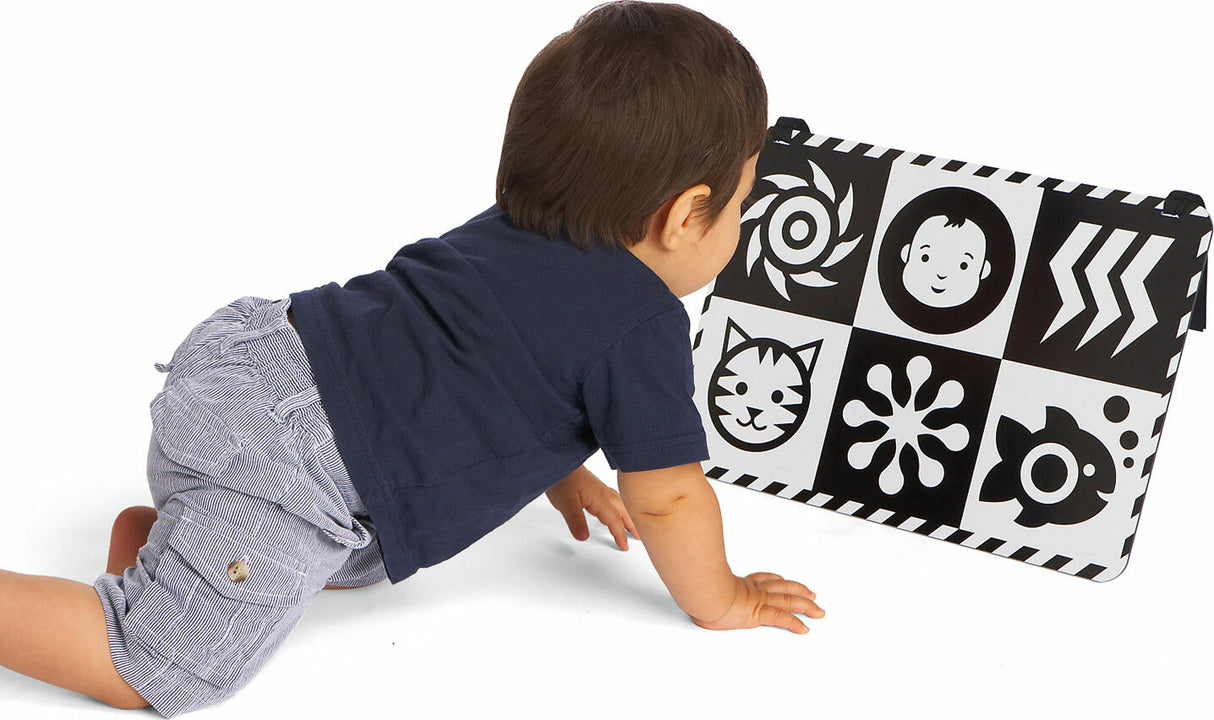 double feature mirror