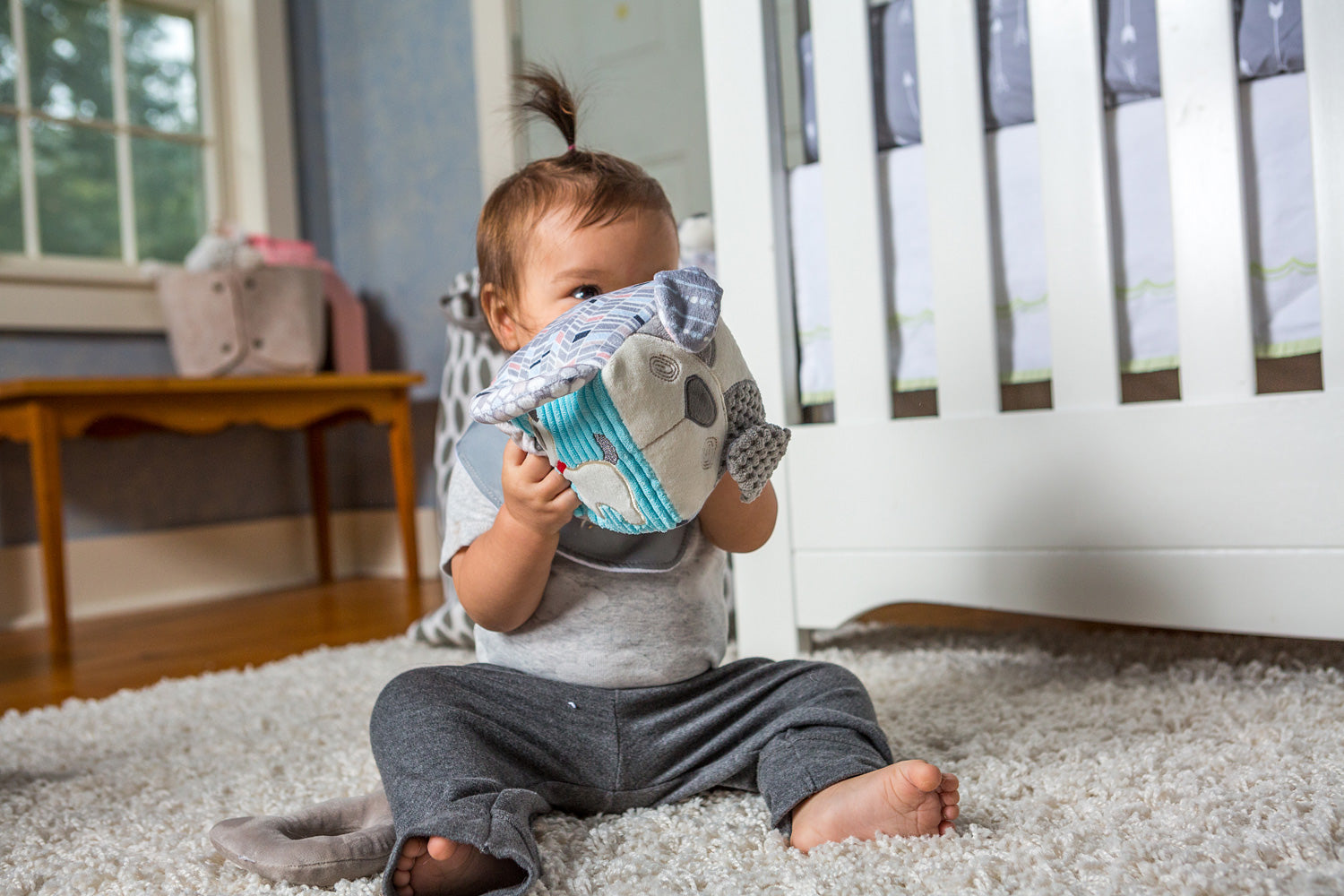 Decco Pup Activity Cube