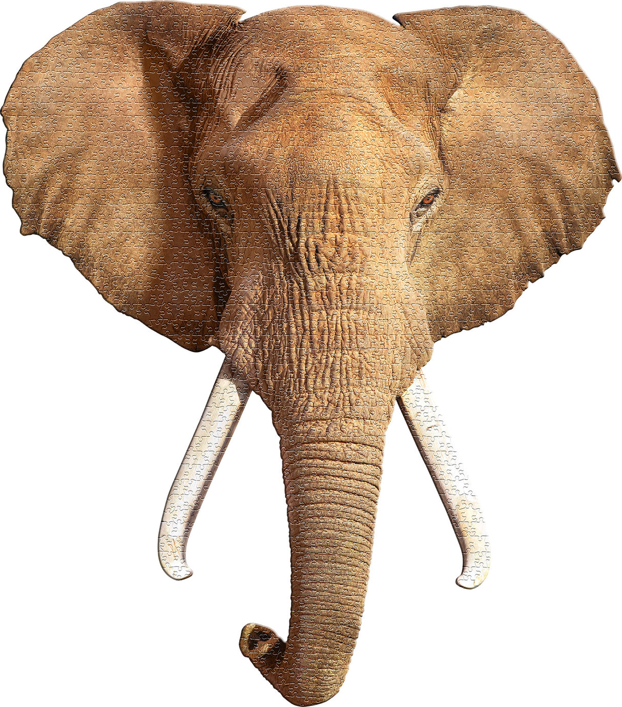 Madd Capp Puzzle - I Am Elephant