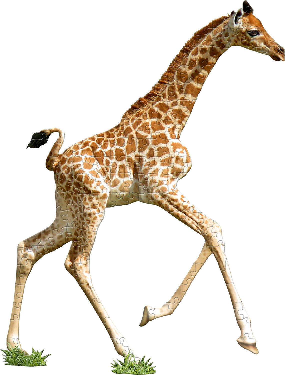 Madd Capp Puzzle Jr. - I Am Lil Giraffe