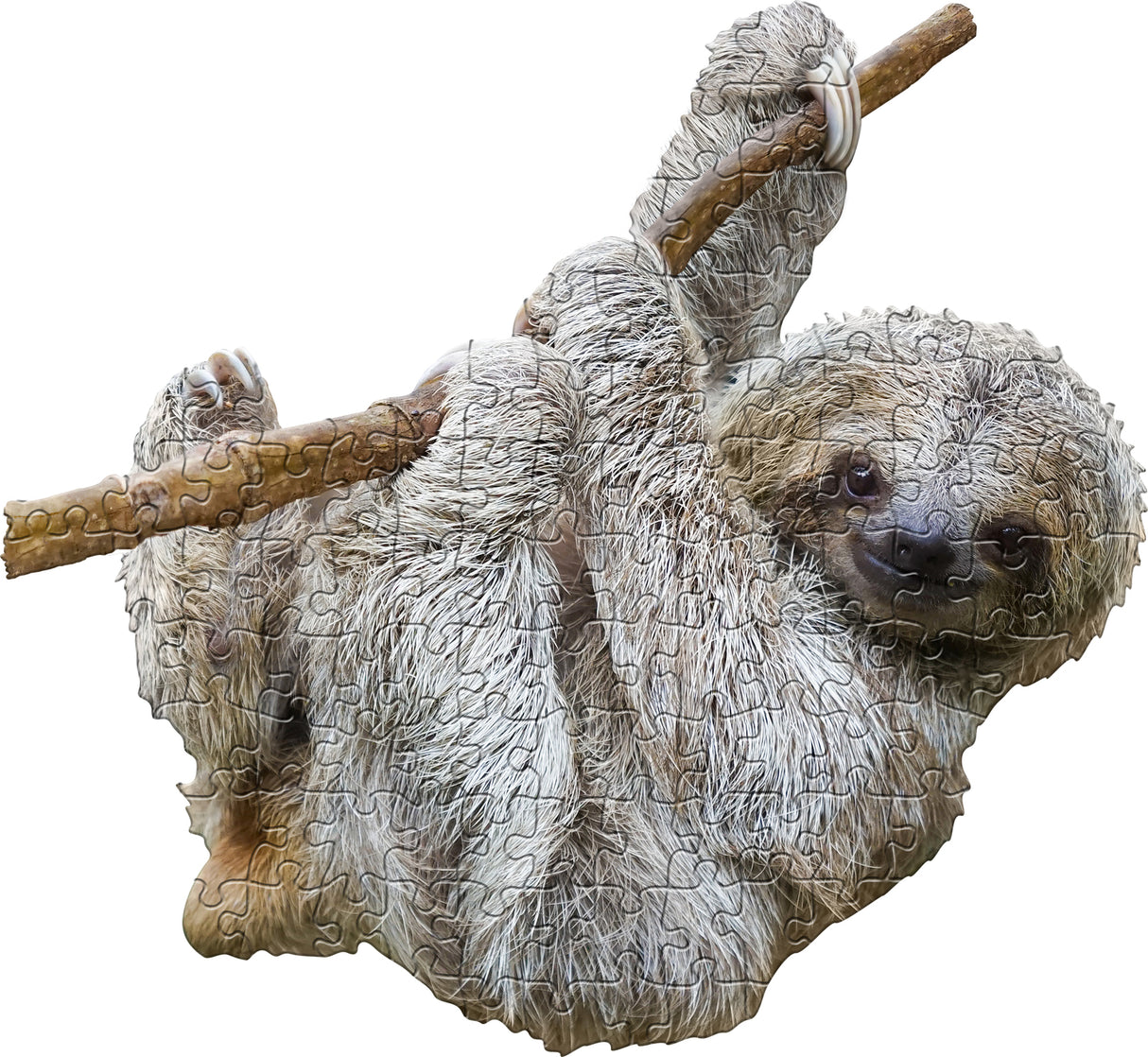 Madd Capp Puzzle Jr - I Am Lil Sloth