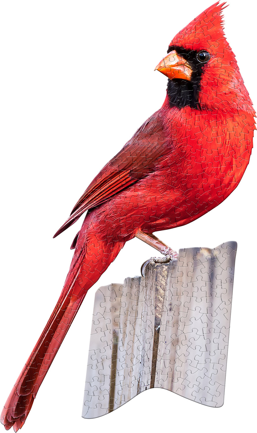 Madd Capp Puzzle - I Am Cardnal(300)