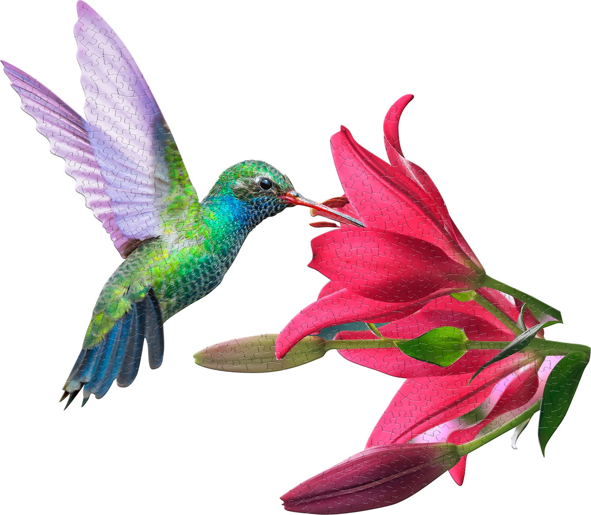 Madd Capp Puzzle - I Am Hummingbird(300)
