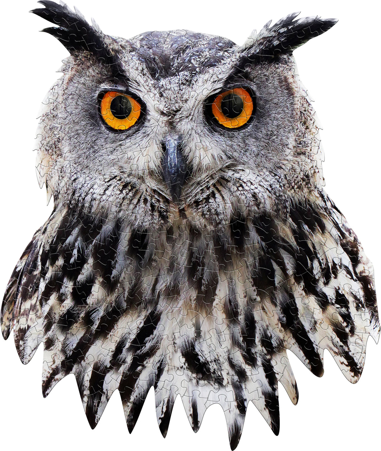 Madd Capp Puzzle - I Am Owl(300)