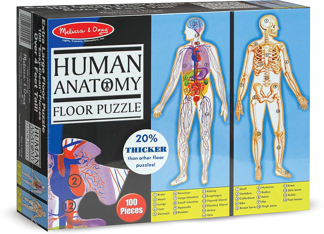 Human Body Floor (100 pc)