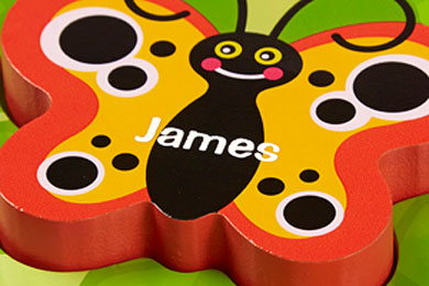 Chunky Insect Puzzle