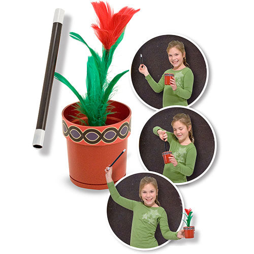 Magic Flower Pot