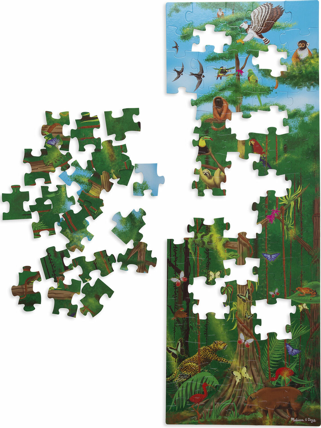 Rain Forest Floor Puzzle