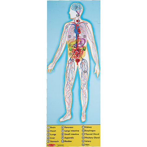 human body floor puzzle