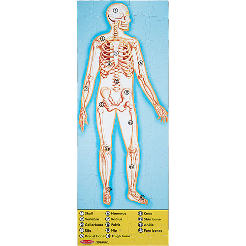 human body floor puzzle