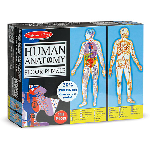 human body floor puzzle