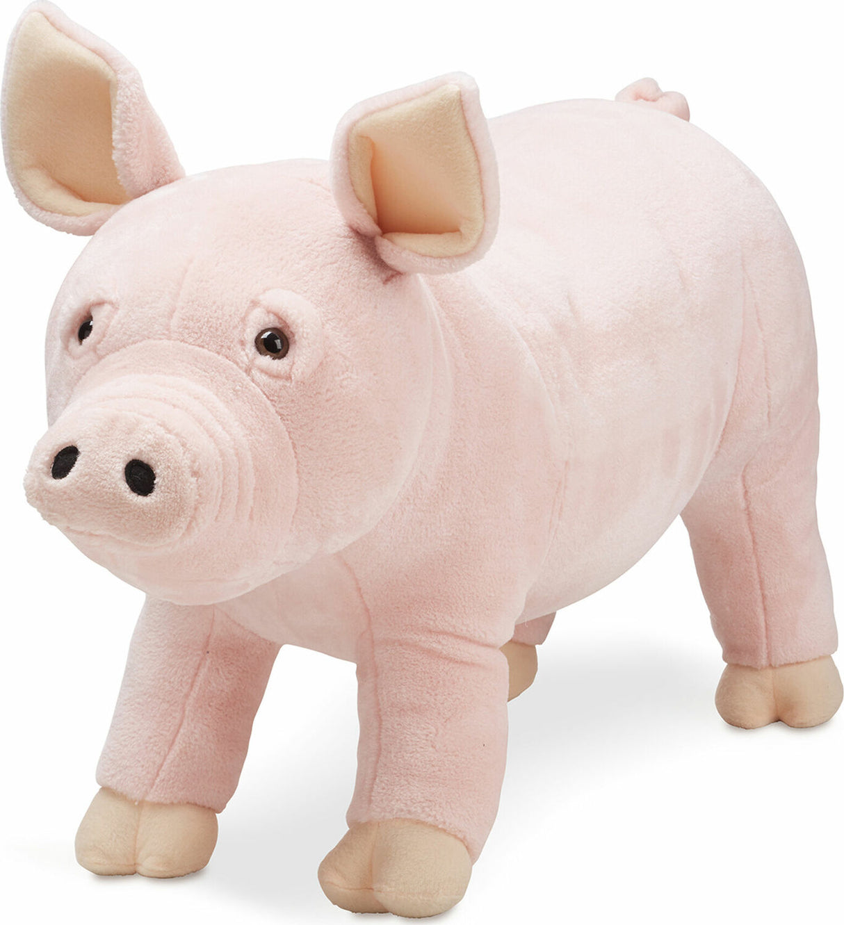 Pig