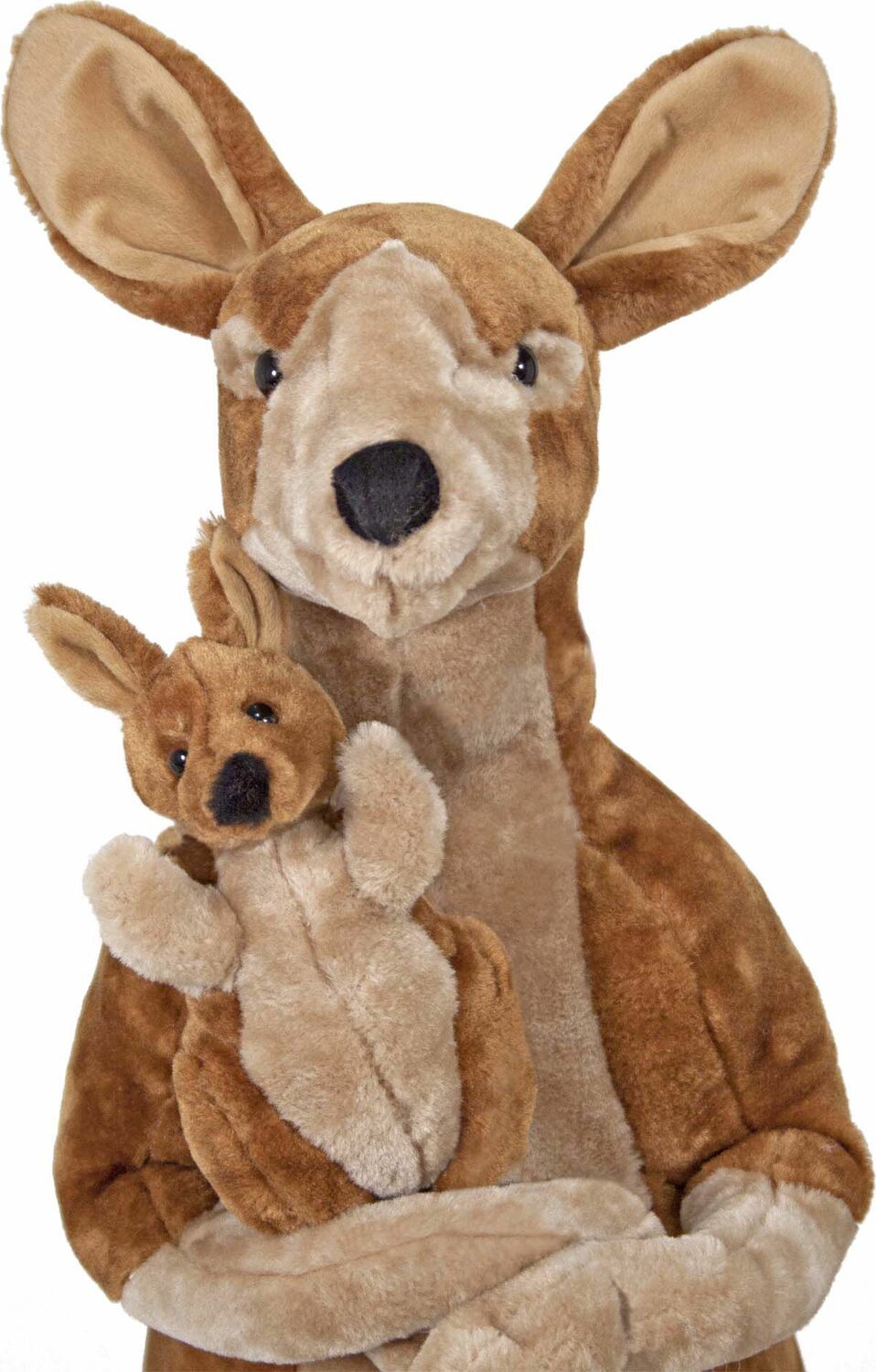 Kangaroo and Joey