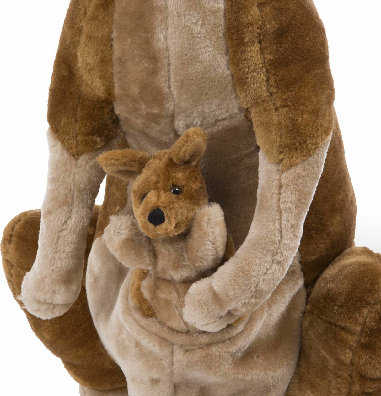 Kangaroo and Joey