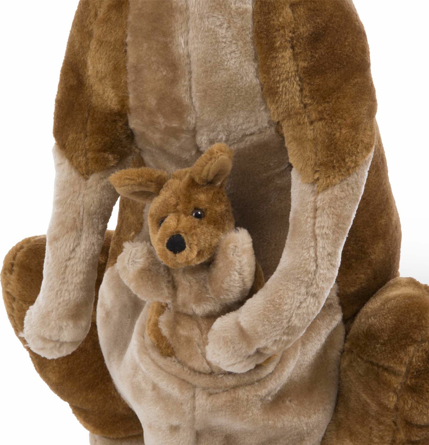 Kangaroo and Joey