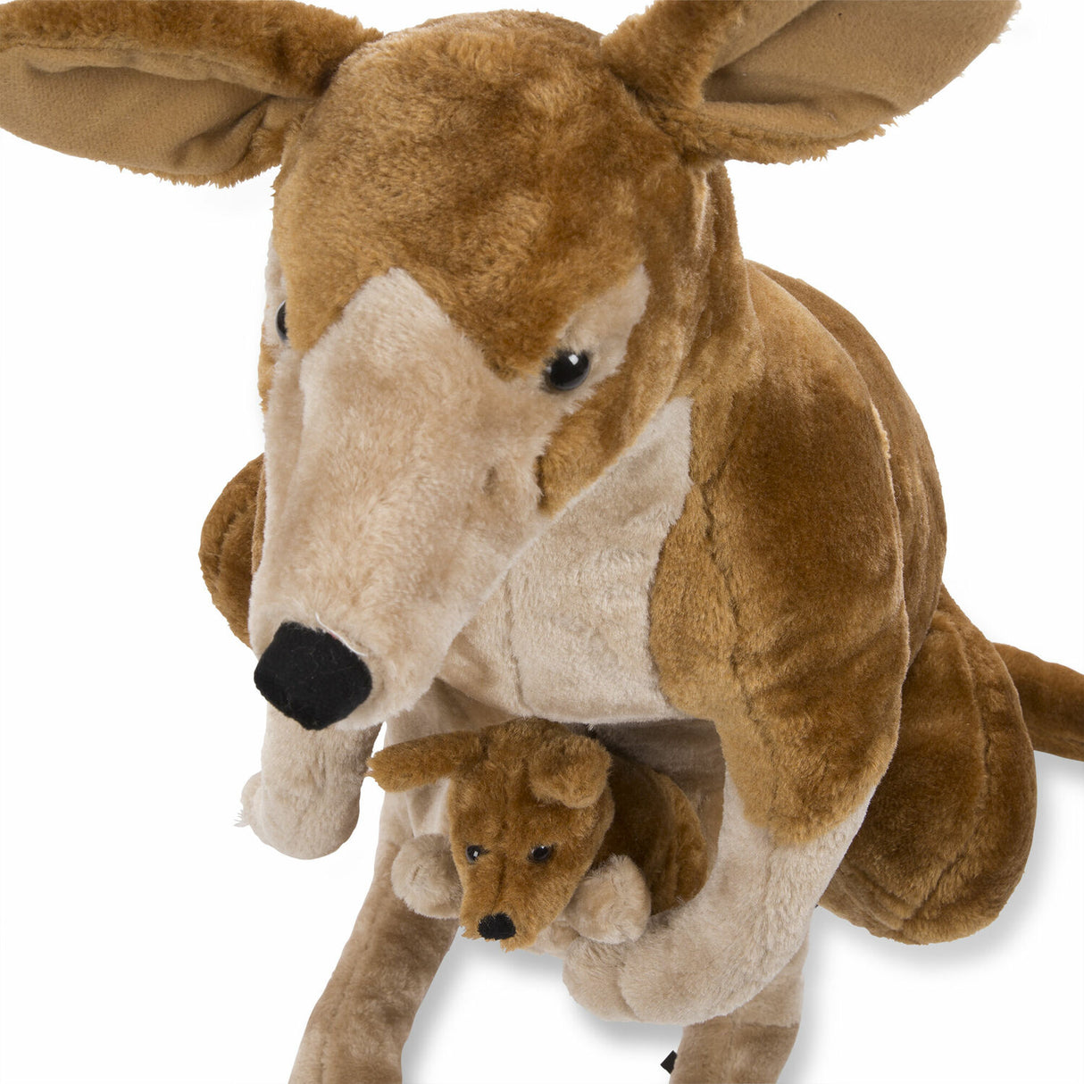 Kangaroo and Joey
