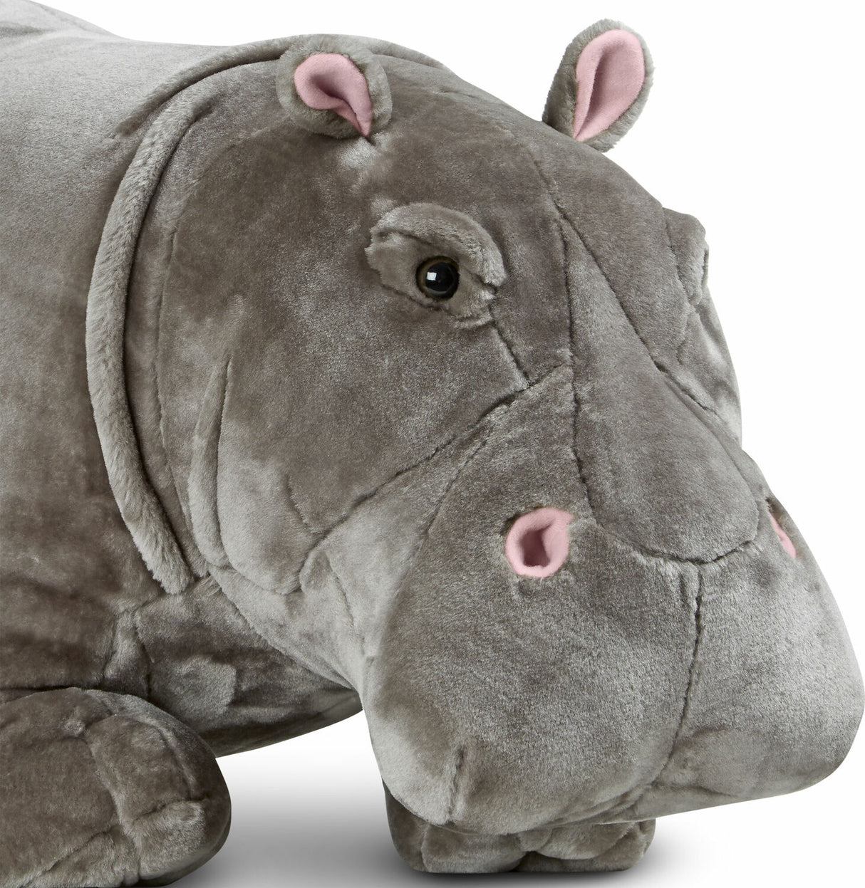 Hippopotamus