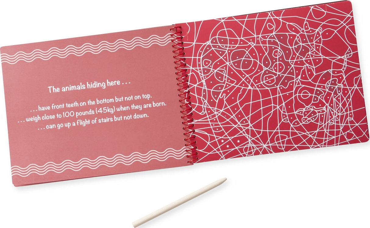 Animal Families Hidden-Picture Pad