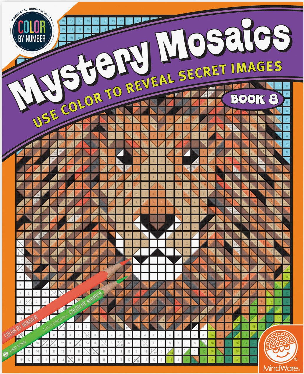 Cbn: Mystery Mosaic: Book 8