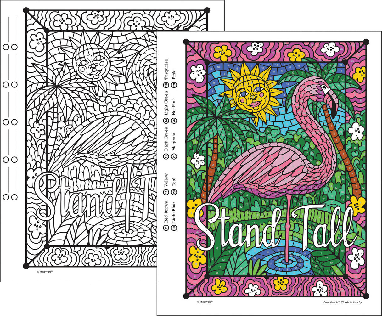 13946342_Colorcounts_Wordstoliveby