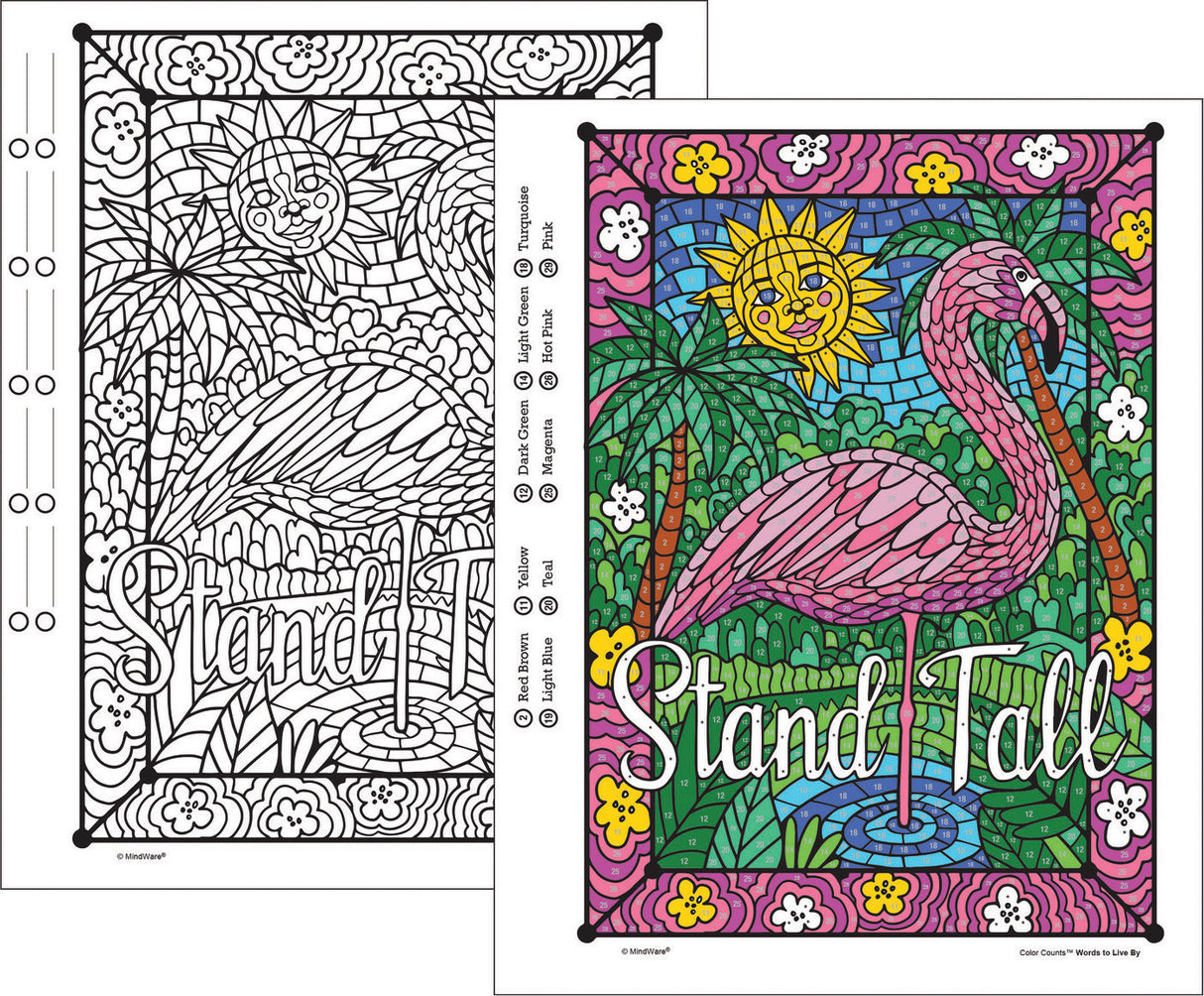 13946342_Colorcounts_Wordstoliveby