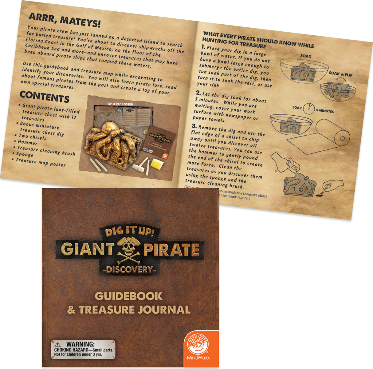 DIG IT UP PIRATE CHEST