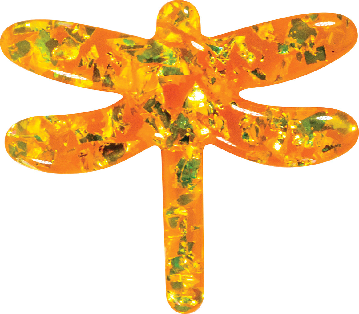 DIG IT UP: RAINBOW DISCOVERY