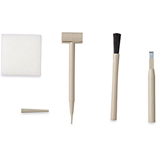 Dig It Up! Tyrannosaurus Rex