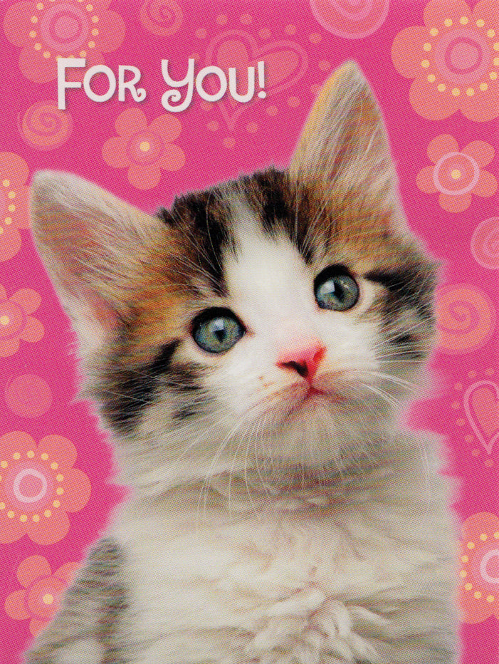Kitty On Pink Gift Enclosure Card