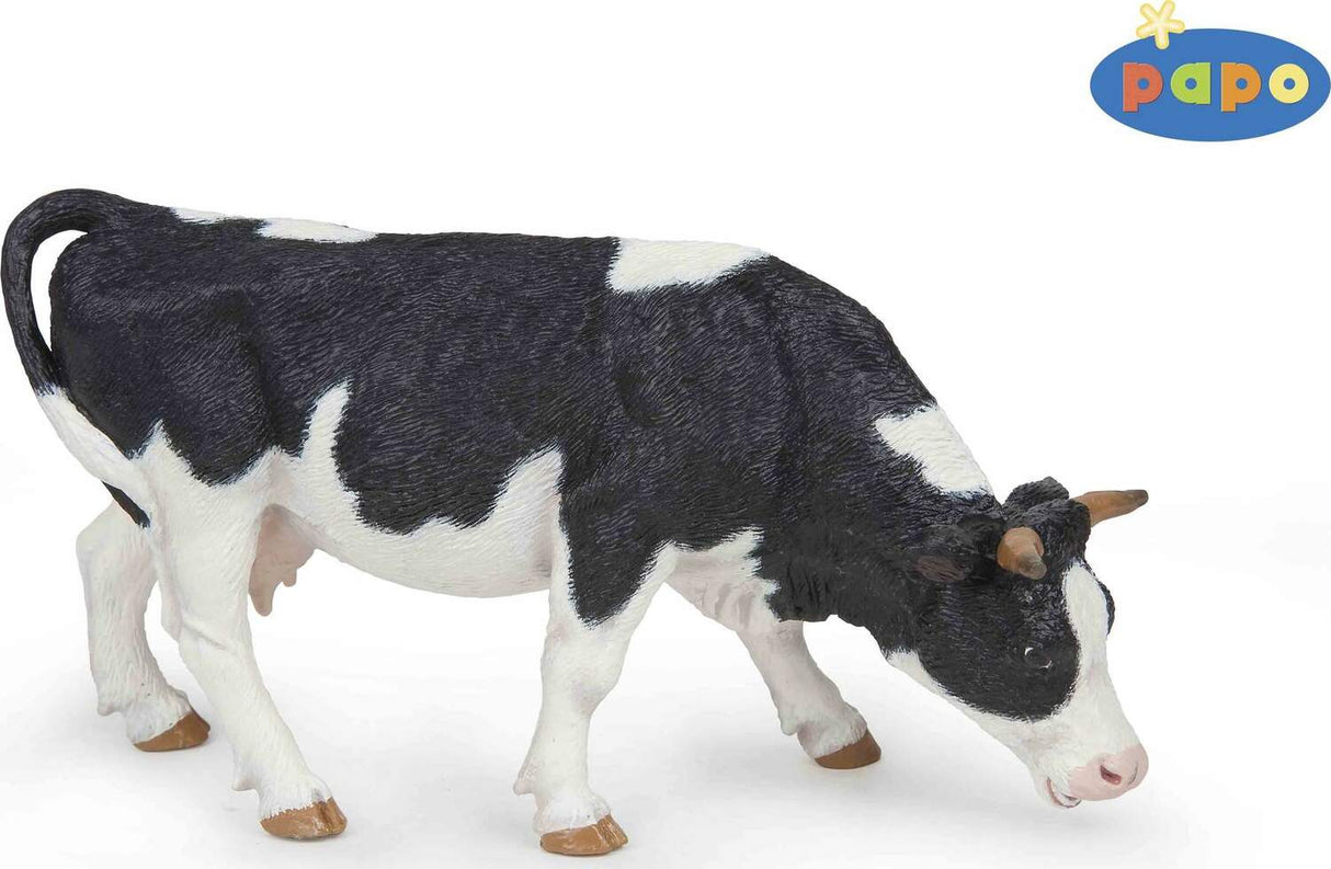 Black And White Grazing Cow
