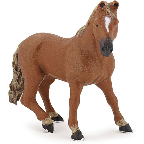 American Quarter Horse