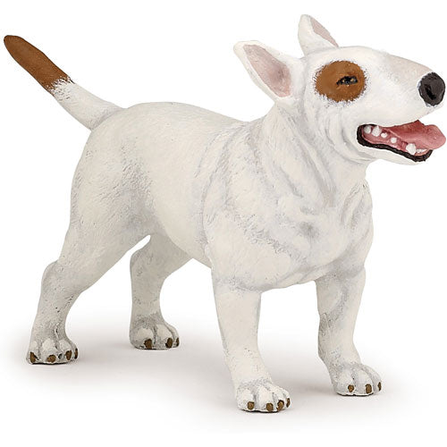 Bull Terrier