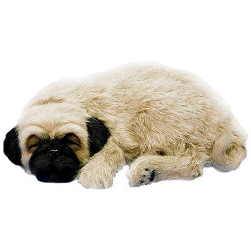 Perfect Petzzz Huggable Pug Puppy