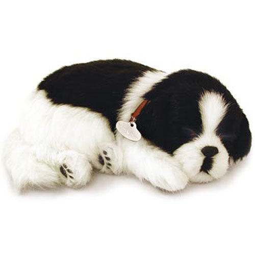 Perfect Petzzz Border Collie