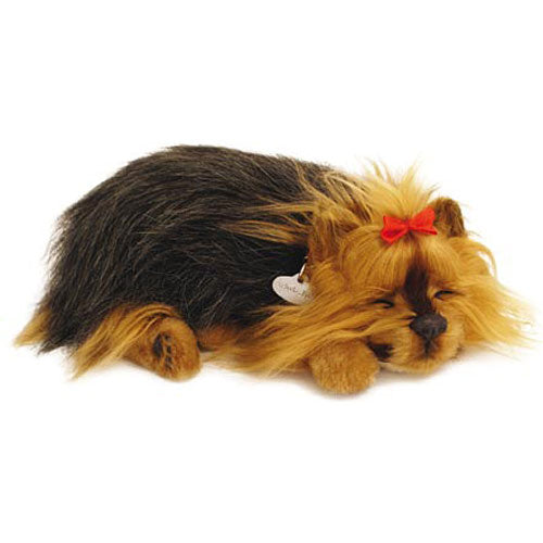 Perfect Petzzz Yorkie