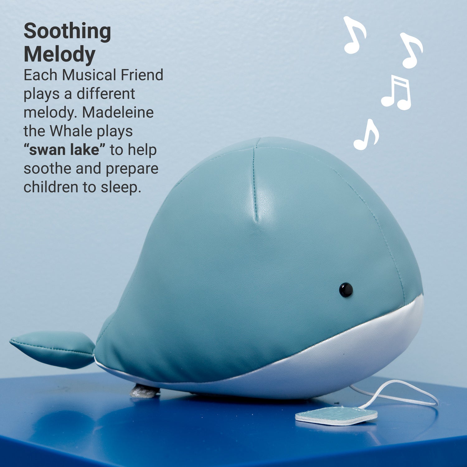 Musical Animals - Madeleine the Whale