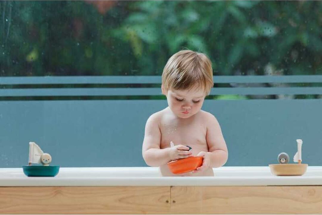 Sailing Boat Penguin