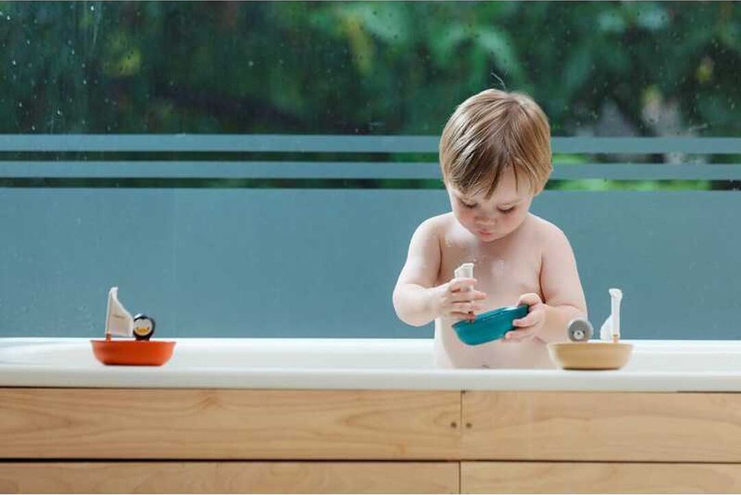 Sailing Boat Polar Bear