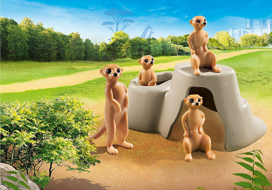 Meerkat Colony