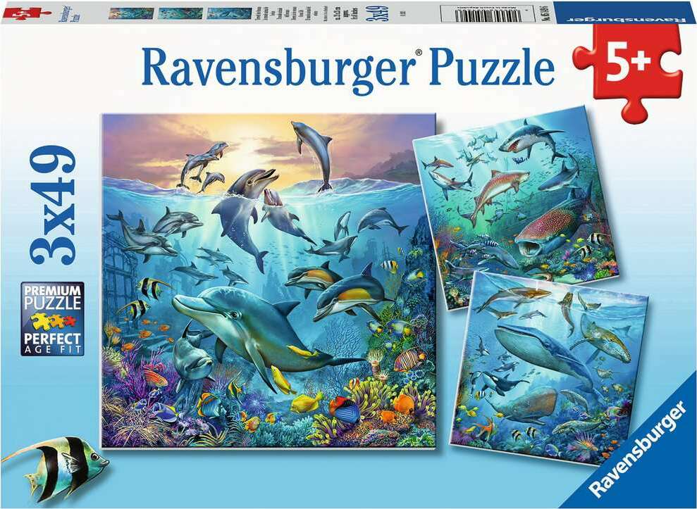 Ocean Life 3 X 49Pc Puzzles