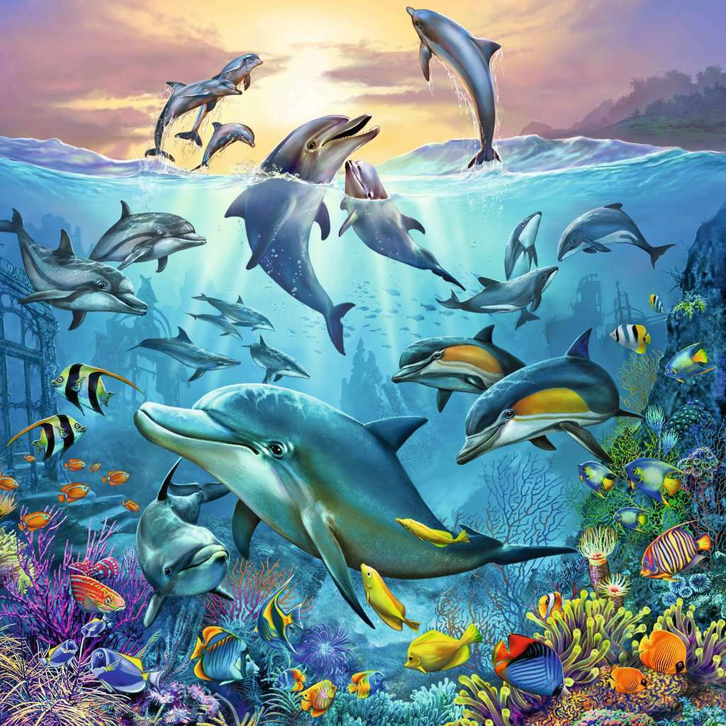 Ocean Life 3 X 49Pc Puzzles