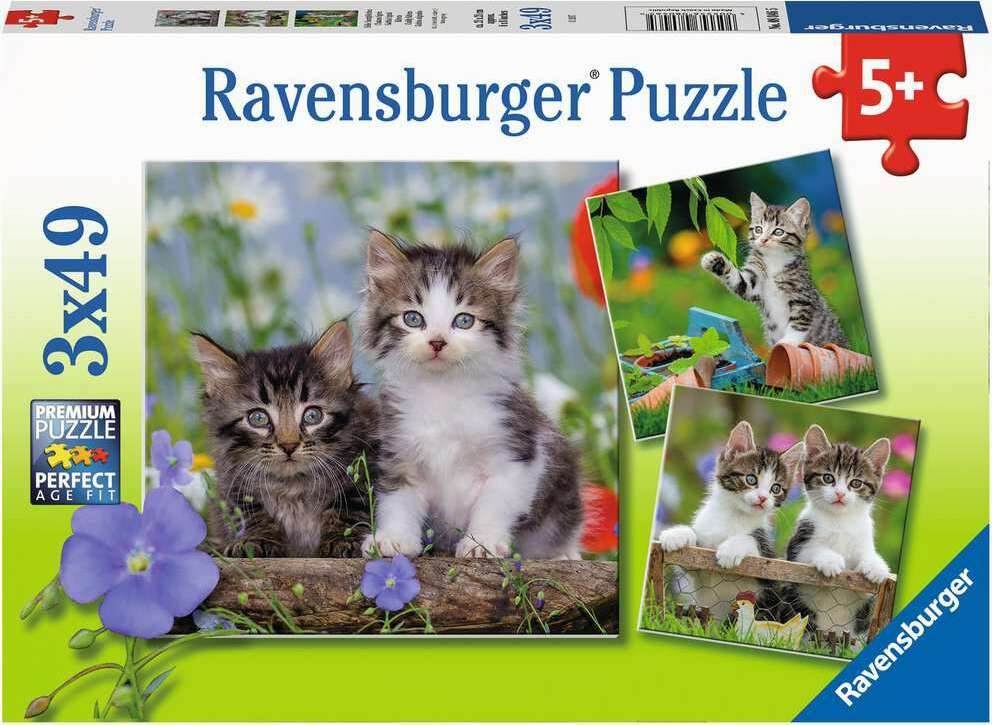 Tigers Kittens 3X49Pc Puzzle