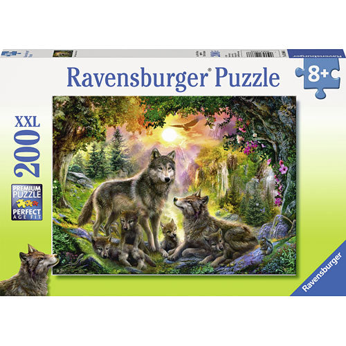 Wolf Family In the Sun