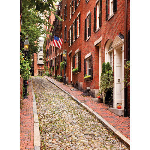 Beacon Hill Boston Puzzle 300 pc