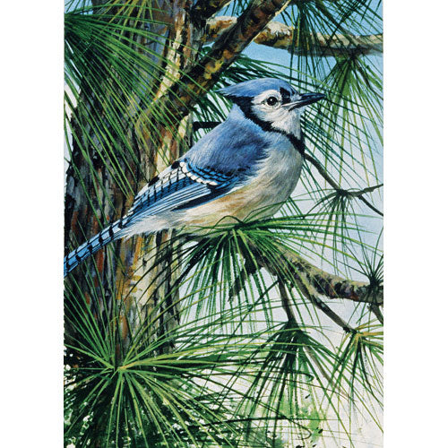Blue Jay 300 pc puzzle