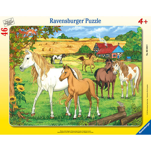 Horses in the Paddock 46pc Tray Puzzle