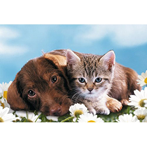 Mini Puzzles - Baby Animals