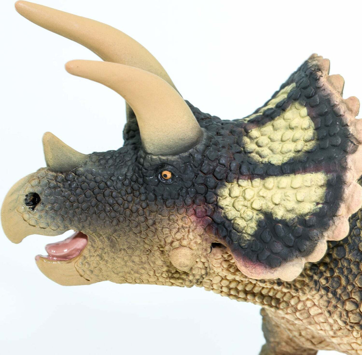 Triceratops Figure