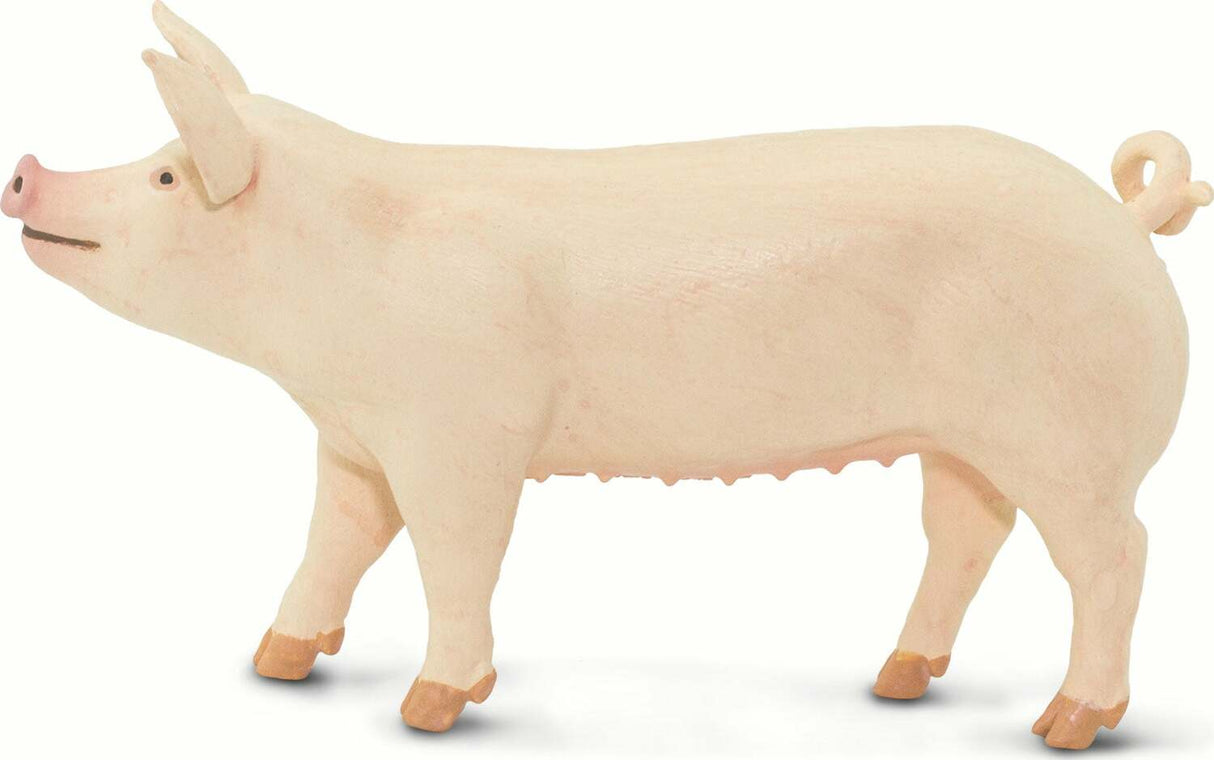 Large White Pig Toy