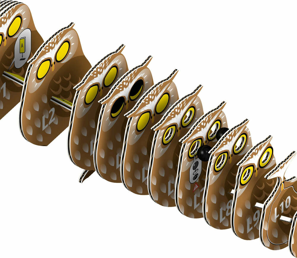 EUGY Owl 3D Puzzle